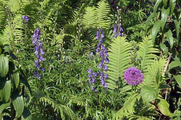 Paines Hill House 7.jpg